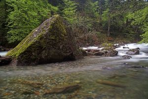 Gave de Cambals sur le sentier des Cascades