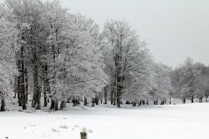 Premires neiges en Aveyron