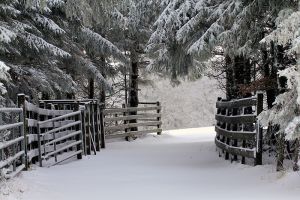 Aveyron sous la neige