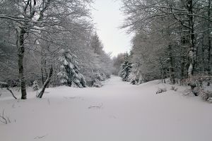 Sentier botanique de Laguiole