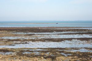 Île de Ré Miniature