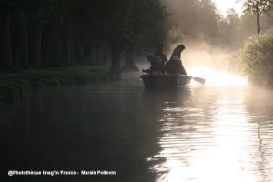 Marais poitevin Miniature