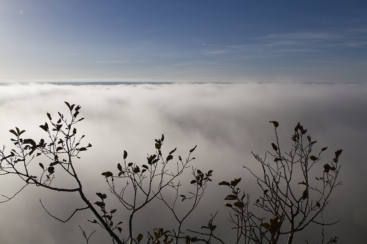 entre ciel et brume