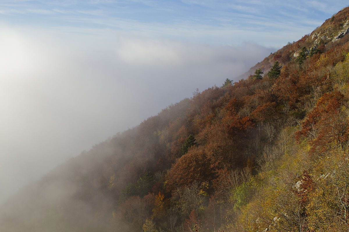 Entre ciel et brume