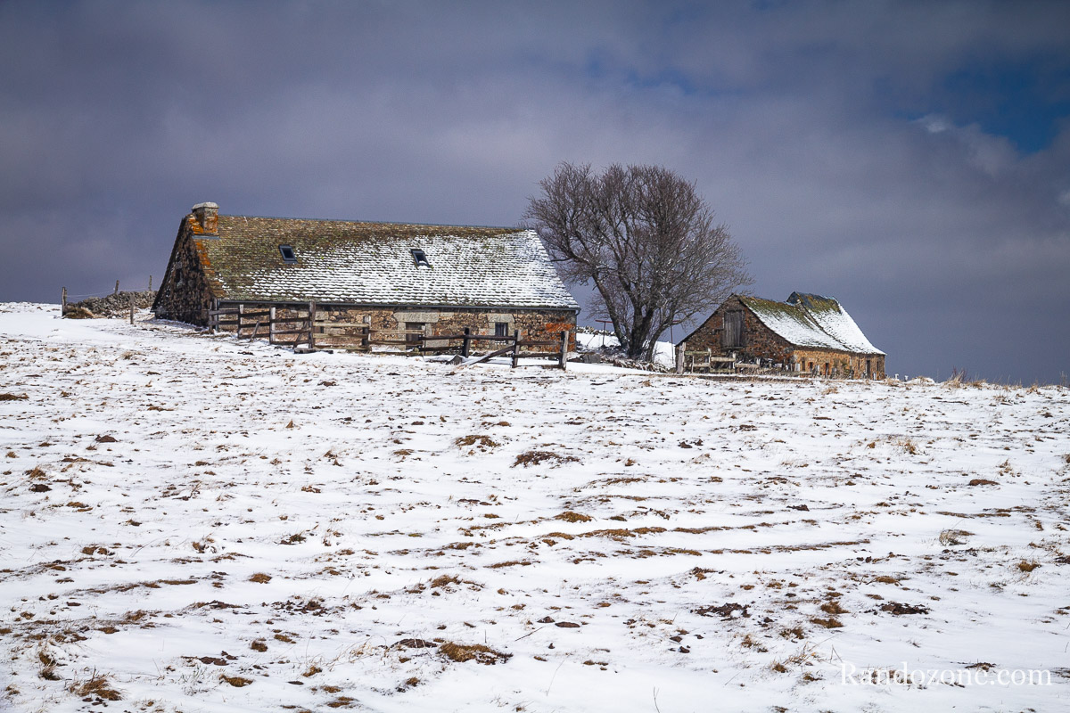 Aubrac sous la neige