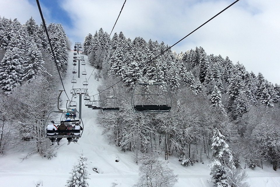 Neige sur les sapins  Barges