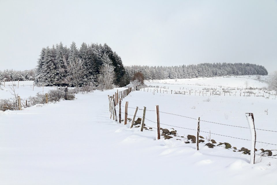 Balade dans la neige en Aveyron - 1