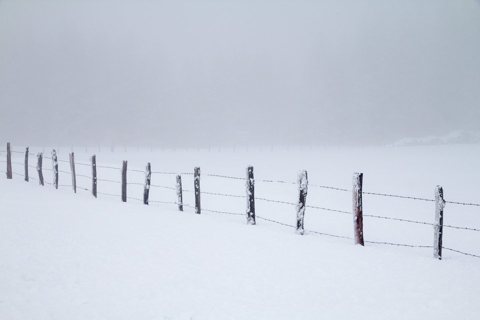 Neige et brouillard en Aveyron
