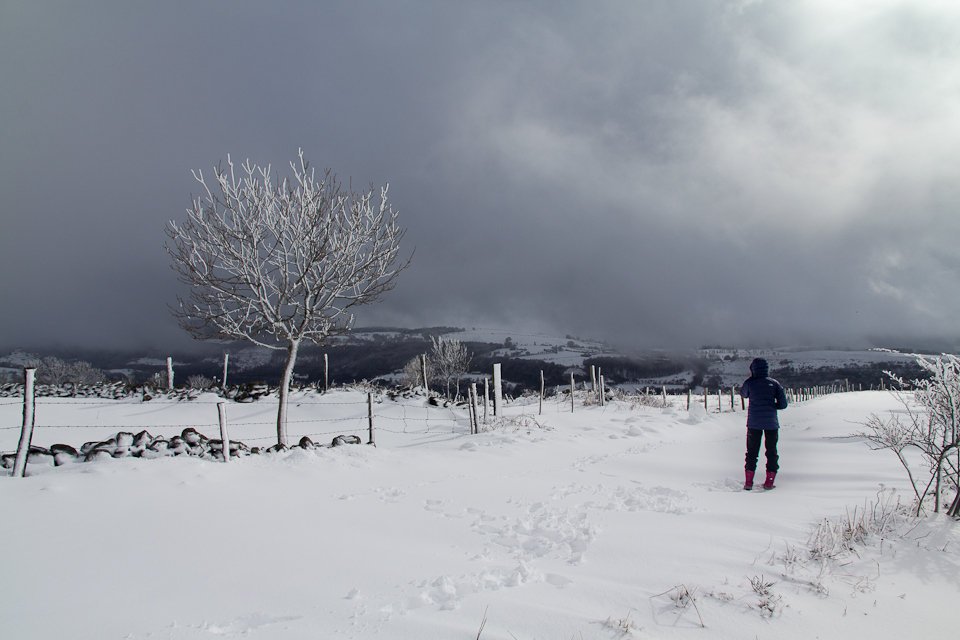 Balade dans la neige en Aveyron - 2