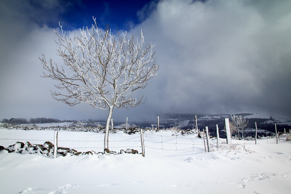 Balade dans la neige en Aveyron - 3