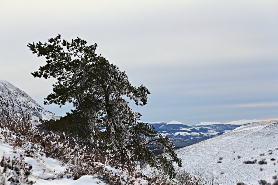 Puy du Pariou