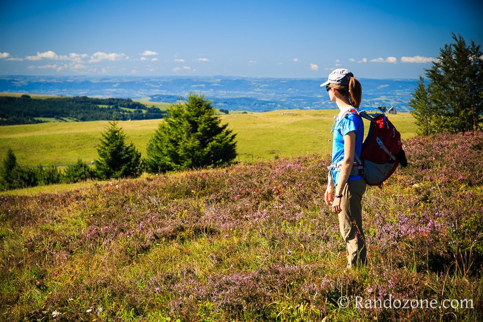 De belles couleurs sur l'Aubrac