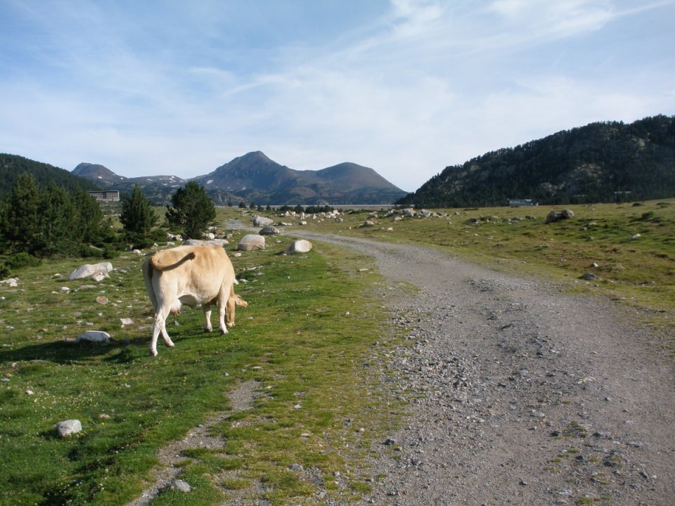 Pla des Bones Aures aux Bouillouses