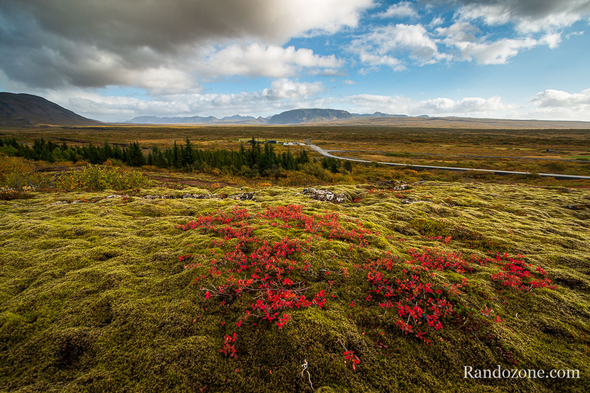 Couleurs d'automne  Thingvellir