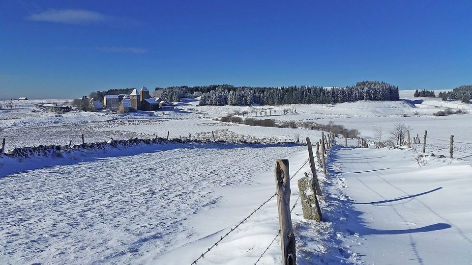 GR65 : Draille qui mne  Aubrac