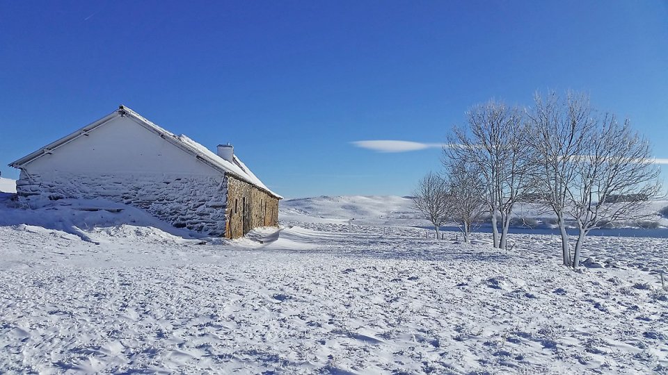 Buron enneig face au Lac des Moines