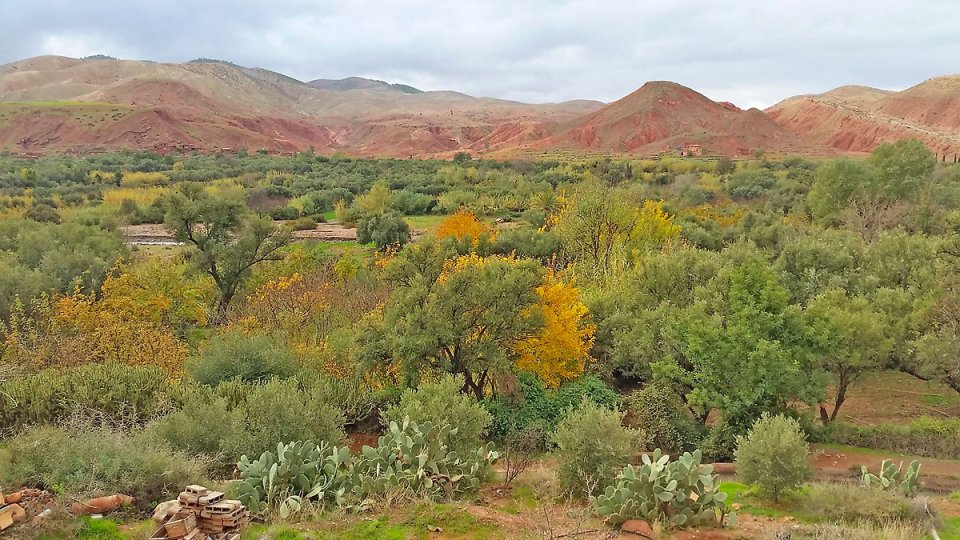 Paysages du Maroc,  1h de Marrakech