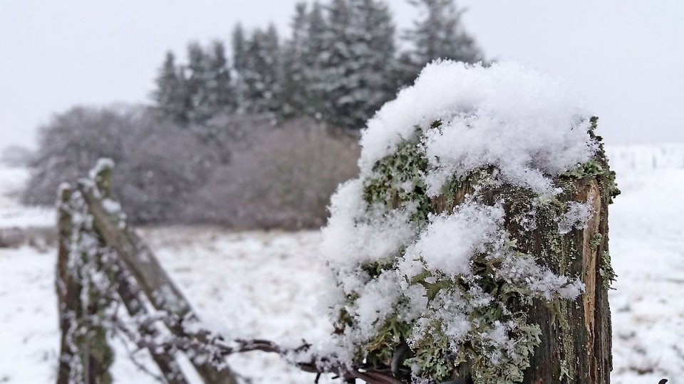 La neige est lgre...comme du duvet !