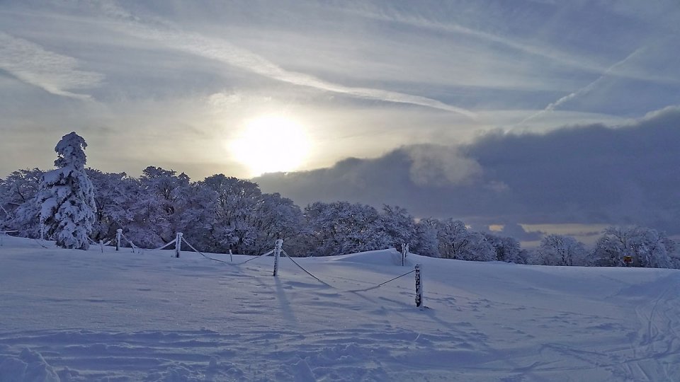 Soleil matinal sur la neige fraiche