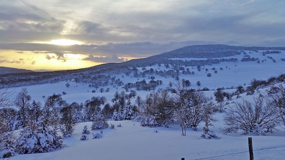 Coucher de soleil sur la fort enneige