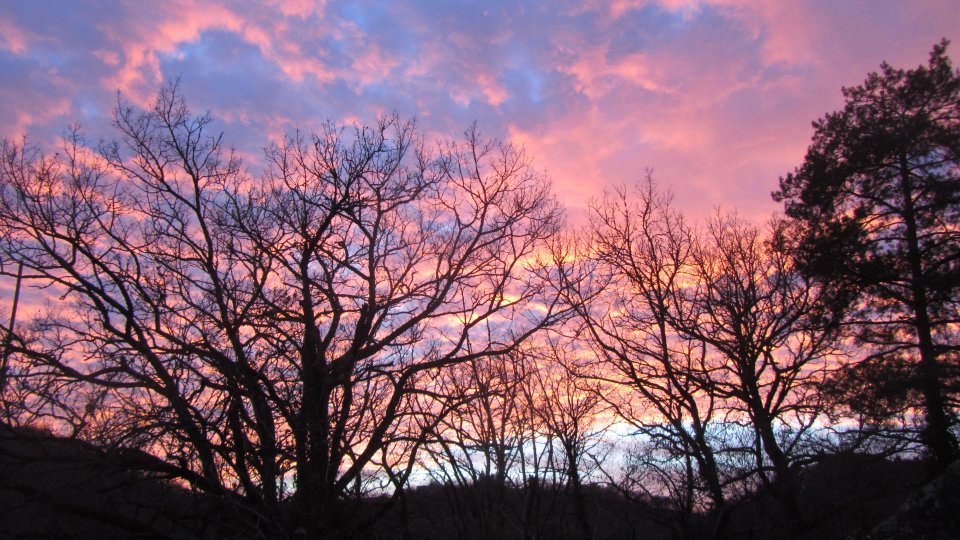 Coucher de soleil rose et jaune