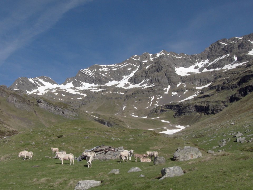 Ruines de la cabane d'Asp (Mai 2015)
