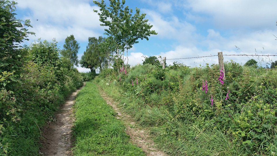 Chemin qui monte apr�s Deux Verges