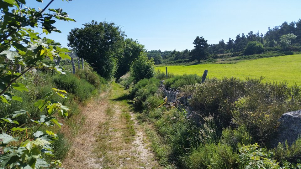 Chemin juste apr�s le premier croisement