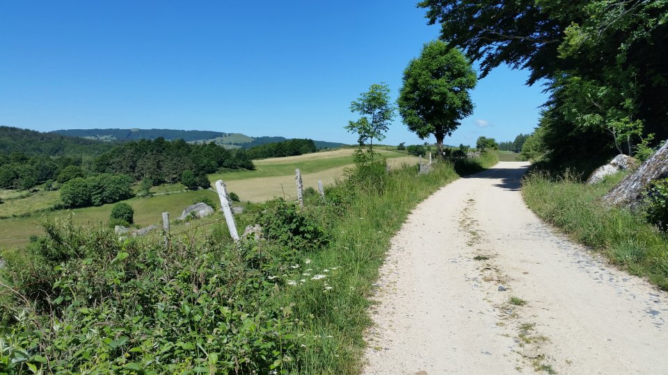 La piste que l'on suit