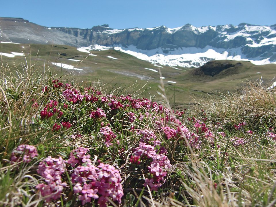 Dans le cirque de Troumouse c'est si beau !