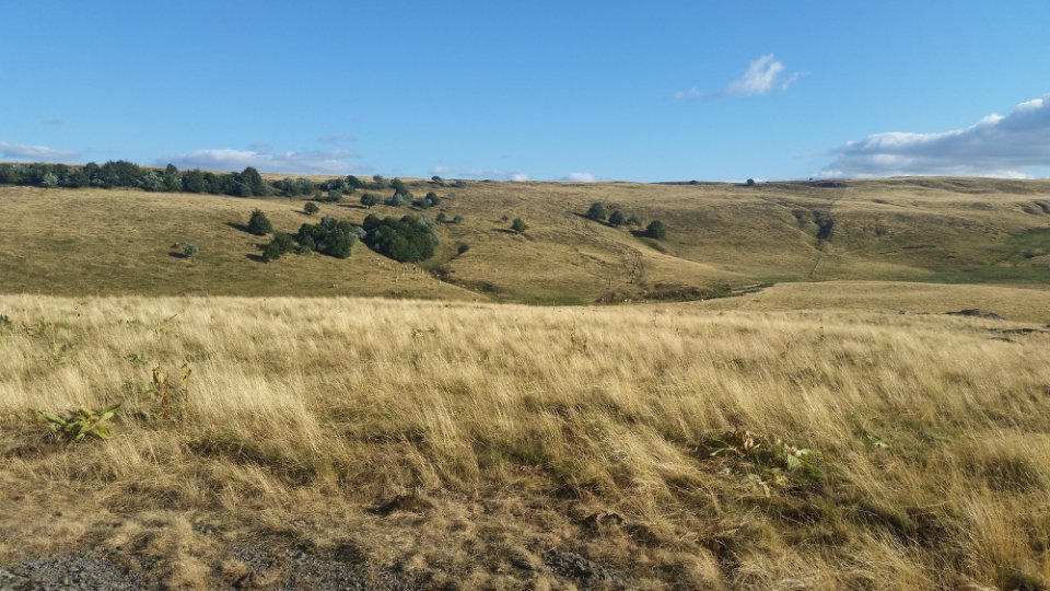 Douceur de vivre par ici