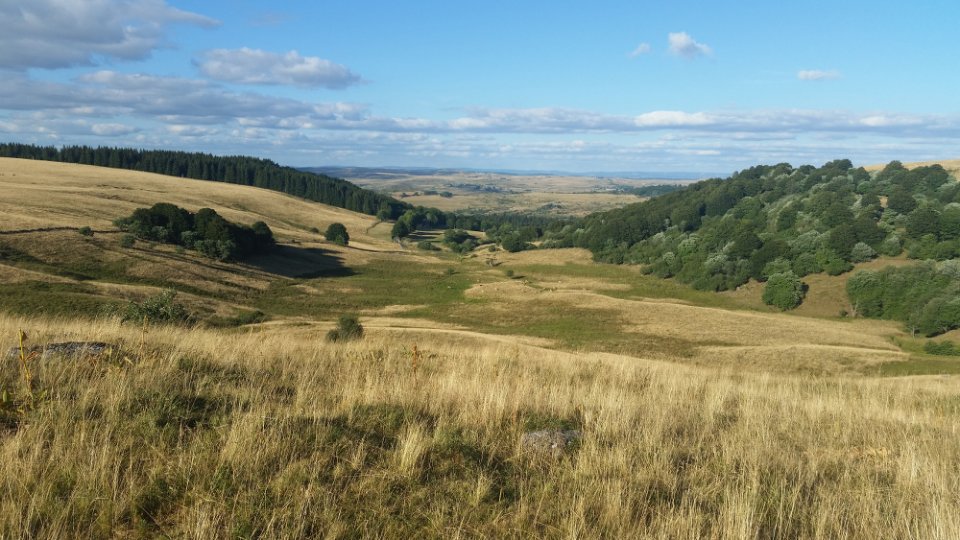 Belle vue d�gag�e sur le plateau
