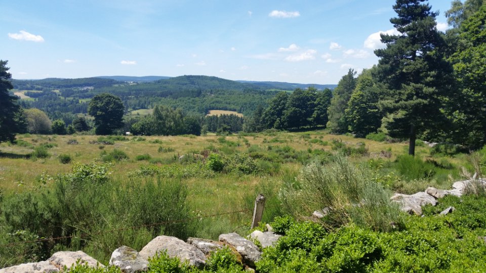 Vue sur les alentours verdoyants