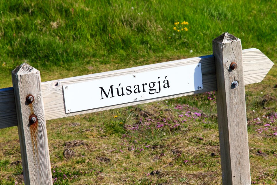 Musargja