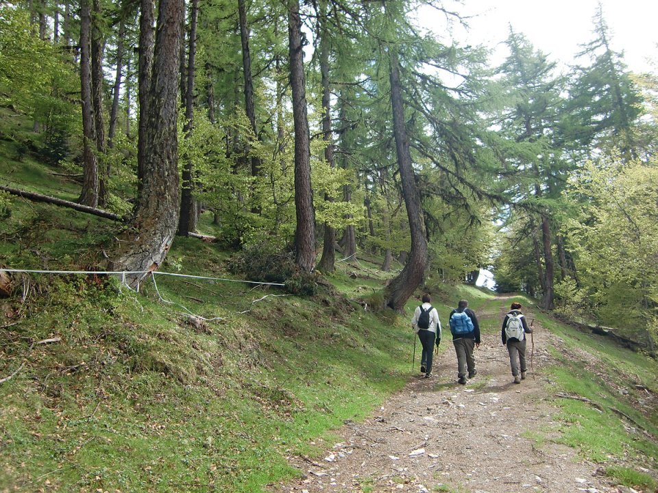 Promenons-nous dans la montagne