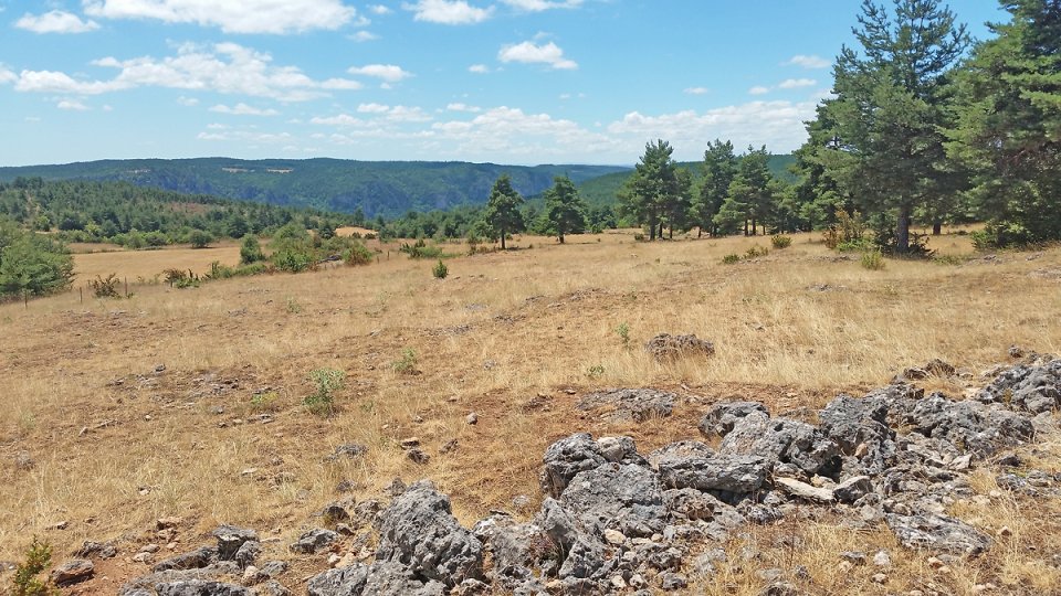 Direction les Arcs de St Pierre Direction les Arcs de St Pierre