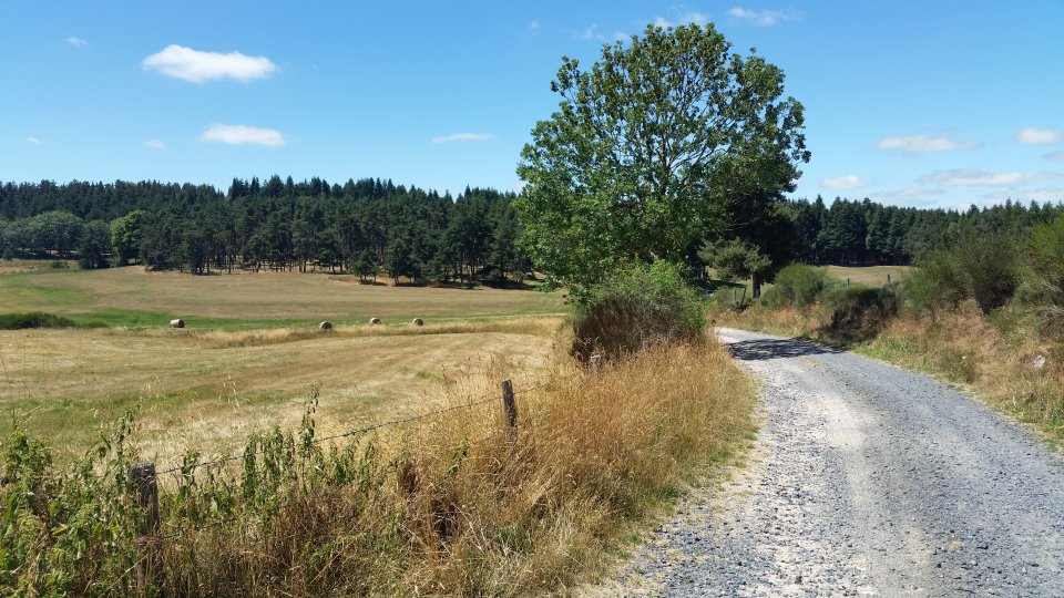 Direction le bois en face