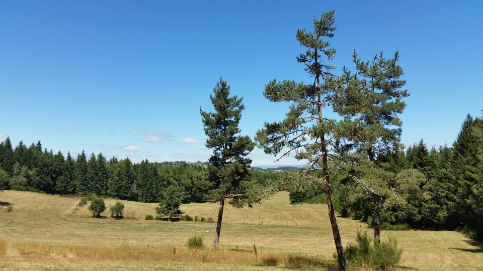 Calme au coeur de l'�t�