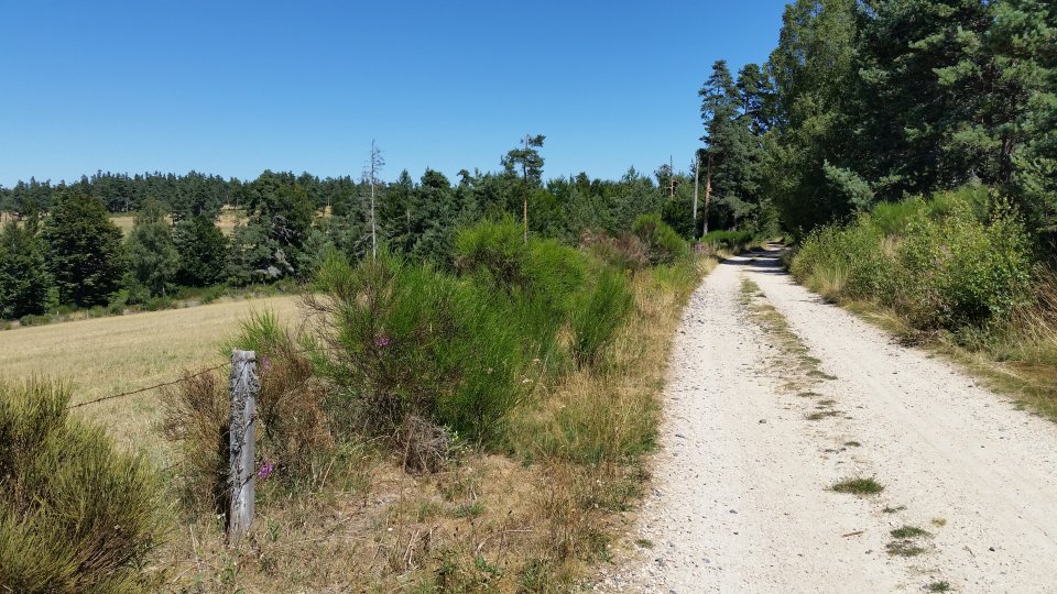 En VTT c'est parfait !