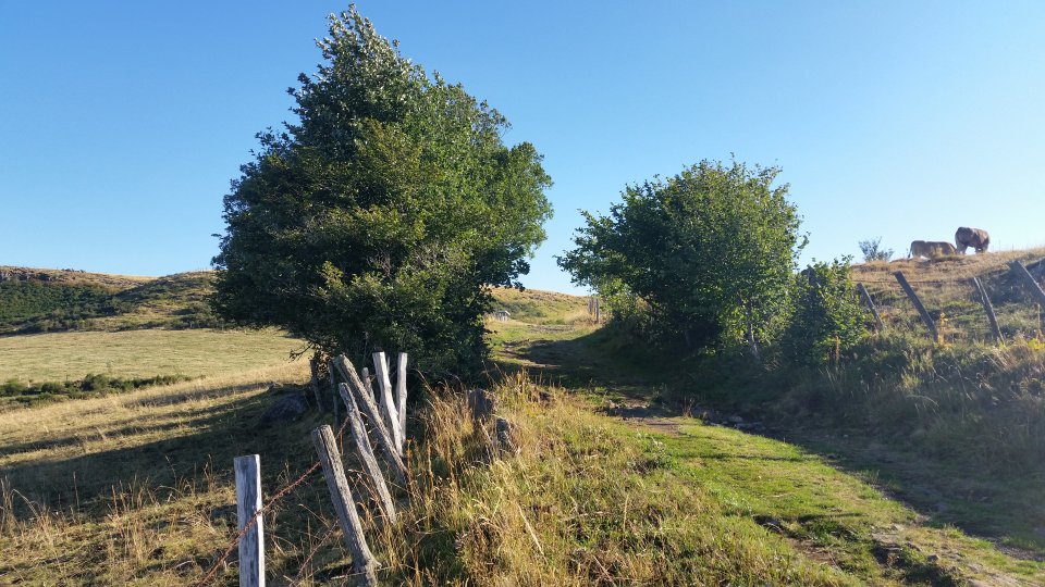 Le chemin grimpe un peu plus