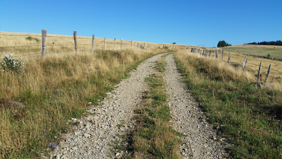 Entre deux paturages