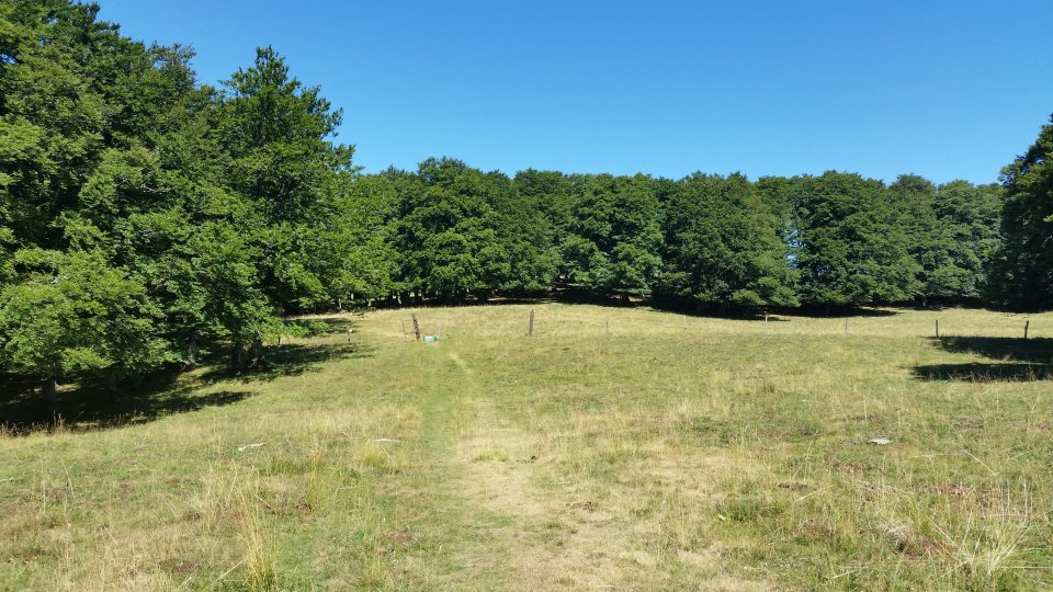 Personne  l'horizon...