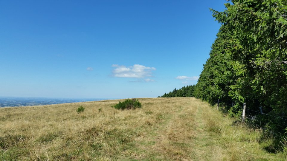 On longe la fort avec vue sur la valle