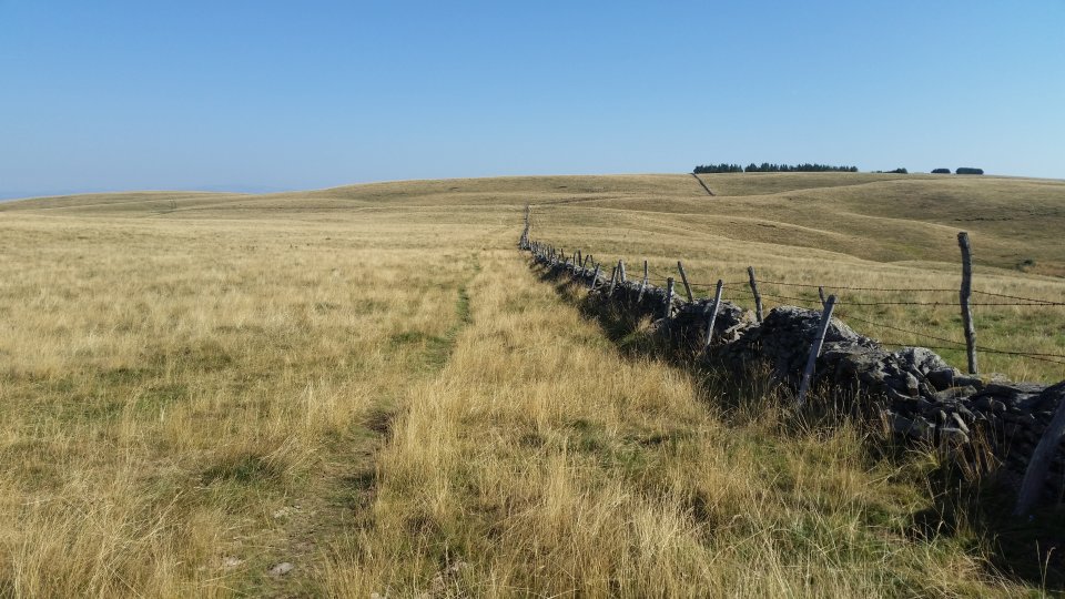 Le sentier  peine visible