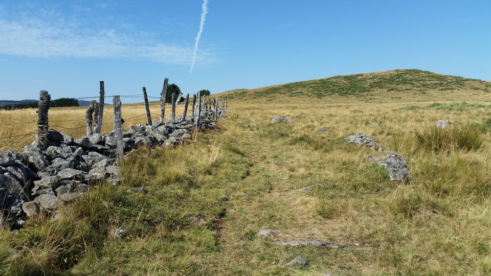 Entre les champs et les clotures