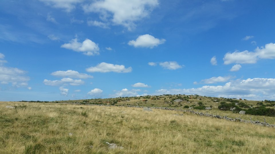 Juste avant de terminer le trek