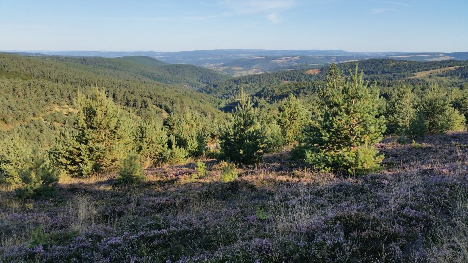Sur la station de ski du Bleymard