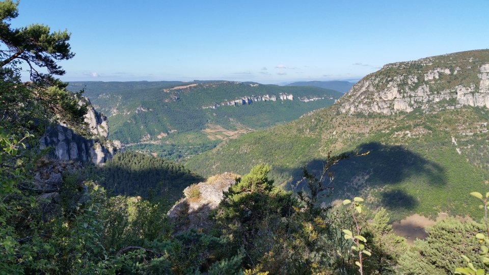 Au petit matin, la nature s'�veille