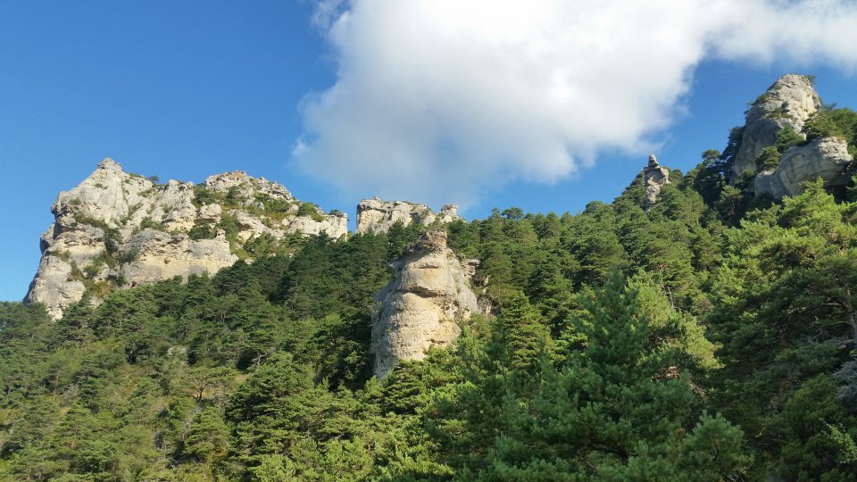 La t�te dans les nuages