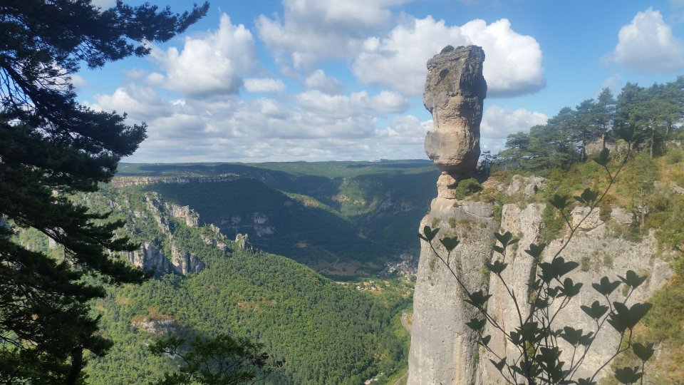 Vase de Svres sur le Causse Mjean